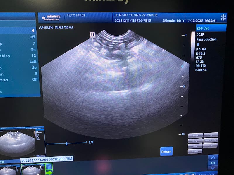 PHÒNG KHÁM THÚ Y QUẬN 8 - HiPet