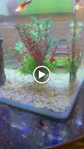 Hình ảnh Father Cooking Restaurant - 4