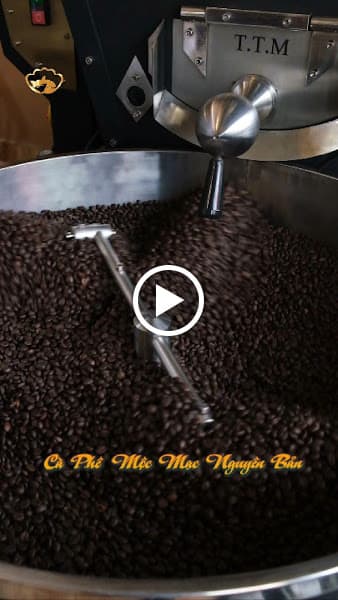 Hình ảnh NGỌC TRAI NÚI Cà Phê - 5