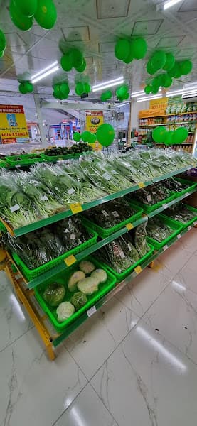 Hình ảnh Bách Hóa Xanh Chợ Cầu - Cẩm Lộc - 4