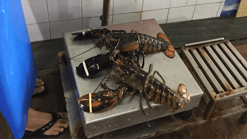 Tú Hải Sản Cung Cấp Cua Hoàng Đế Alaska-Tôm Hùm Canada-Cua Cà Mau-Mực Tươi