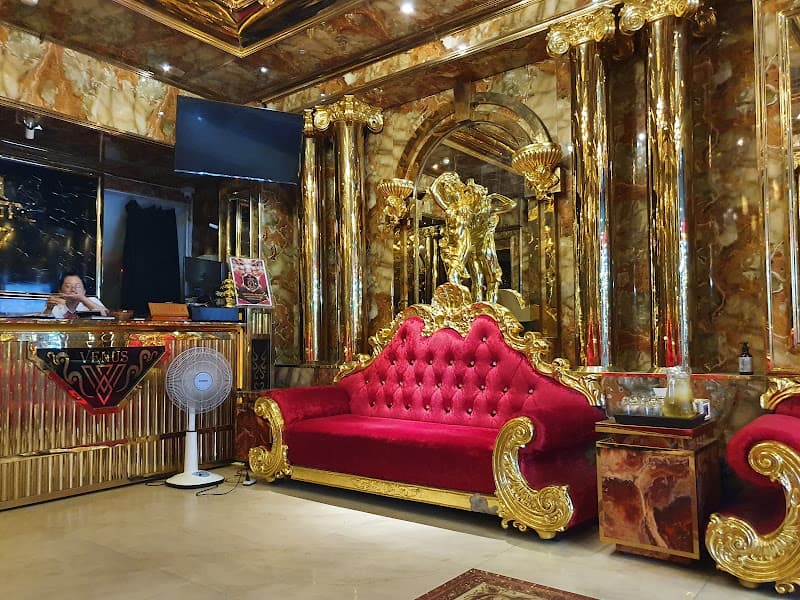 Ảnh bìa KARAOKE VENUS