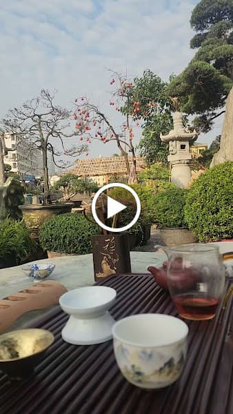 Hình ảnh CÂY XANH QUẢNG NINH - 5