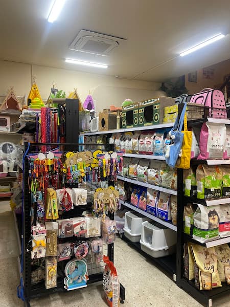 Hình ảnh PET SHOP - PET HOUSE - 2