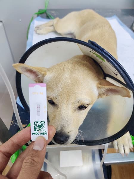 Hình ảnh Thú Y Cần Thơ PHÚC HIỂN - 2