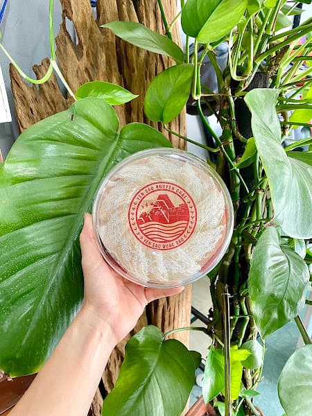 Ảnh bìa Yến Sào Quốc Bảo - Yến Sào Đà Nẵng - Nhà Yến Đà Nẵng -Yến Chưng Đà Nẵng - Yến Sào chất lượng cao nguyên chất Đà Nẵng