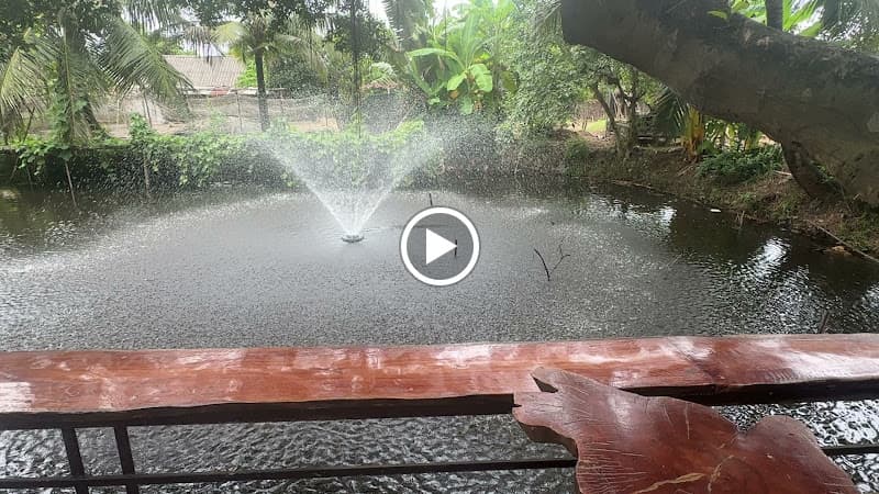 Hình ảnh PHỞ KITCHEN - All day Coffee & Breakfast - Lunch - Dinner - 5