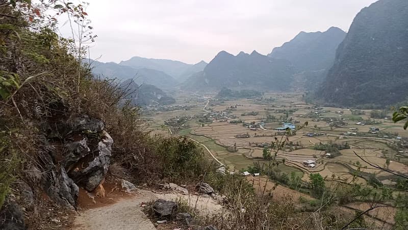 Hình ảnh Quán phở vịt Cao Bằng - 6