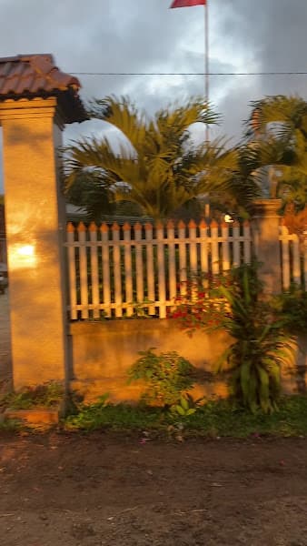 Hình ảnh Yến Sào Thanh Thuỷ - 3