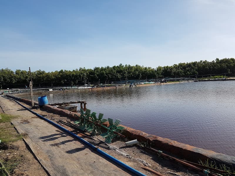 Hình ảnh Trang trại Yến Sào Phú Hưng Cần Giờ - Nhà yến số 2 - 3