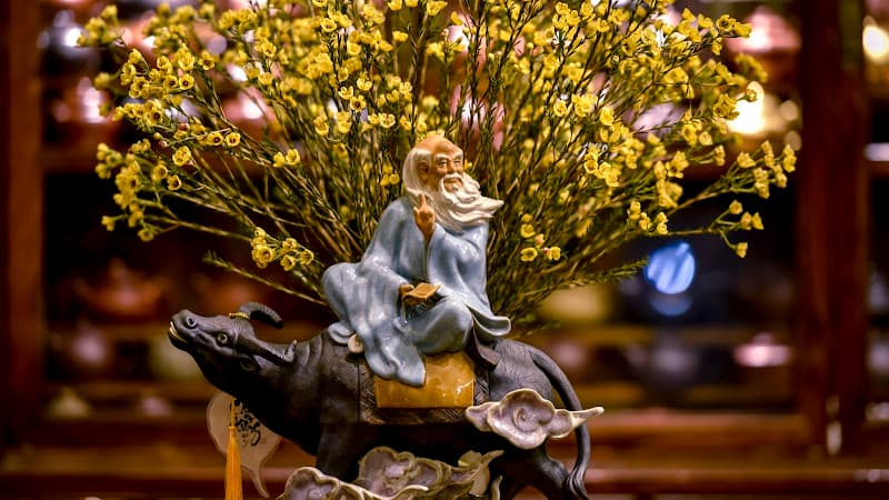 Hình ảnh Trần Ký Trà - 7