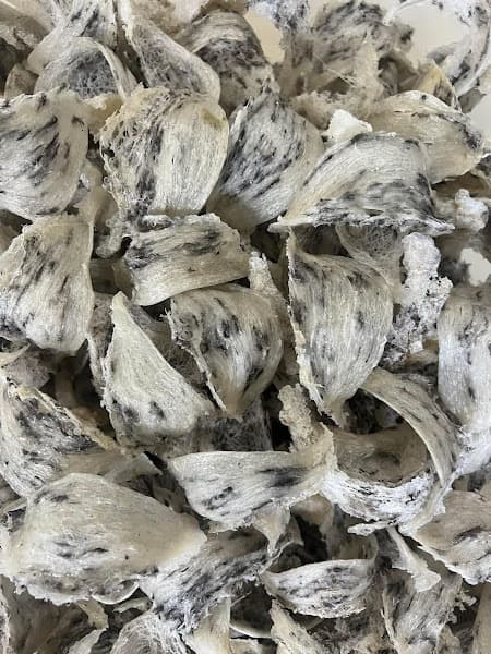 Hình ảnh Yến Sào Tam Thanh - 3