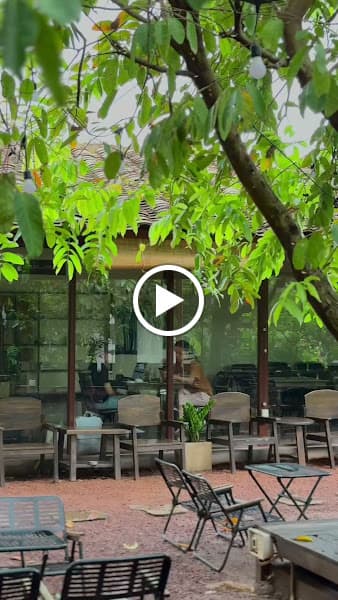 Hình ảnh rì rào cà phê - 3