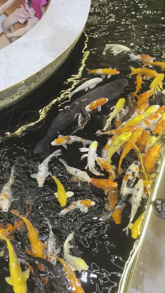 Hình ảnh The KoI Coffee - 2