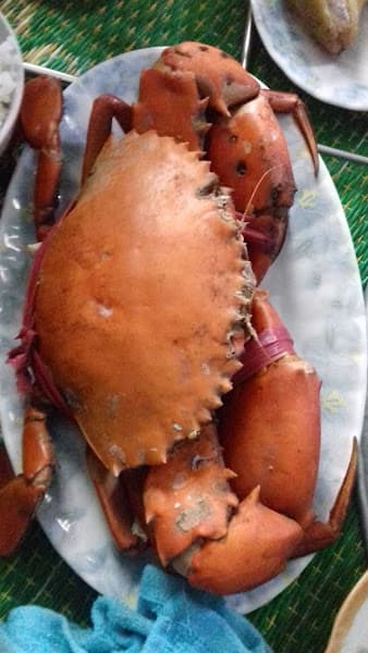 Hình ảnh Karaoke Thanh Thảo - 2