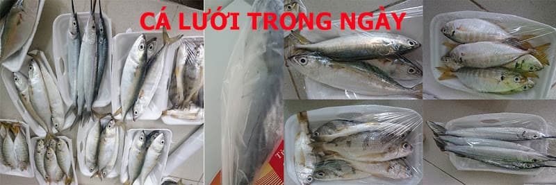Hình ảnh Hải Sản Tươi Ngon - 4