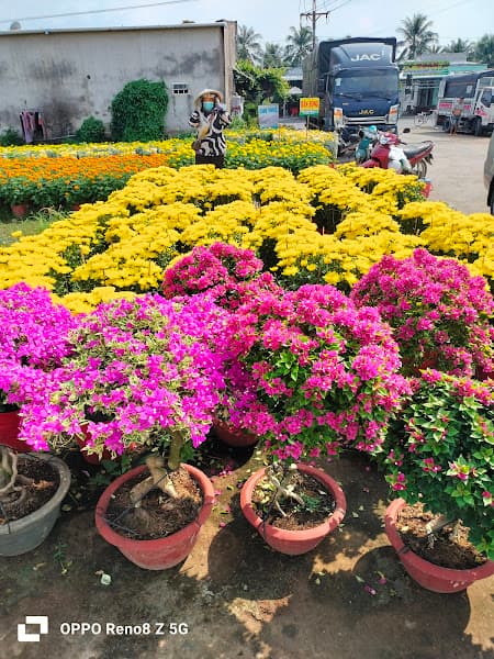 Hình ảnh Bách hoá XANH - 3