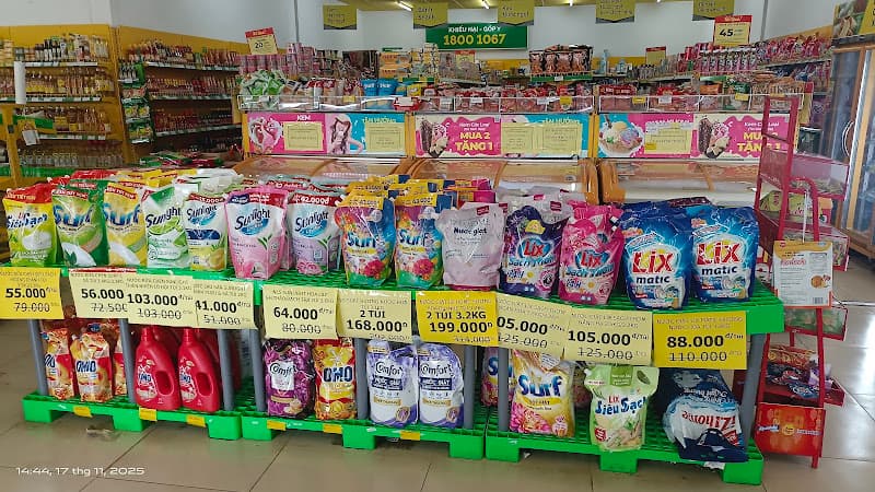 Hình ảnh Bách Hóa Xanh - 2