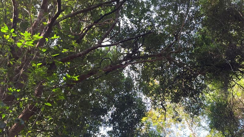 Hình ảnh Khu bảo tồn Thiên nhiên - Văn hóa Đồng Nai - 4