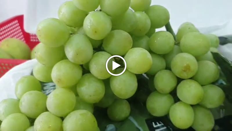 Hình ảnh T Fruit - Trái cây nhập khẩu - Giỏ quà trái cây - 2