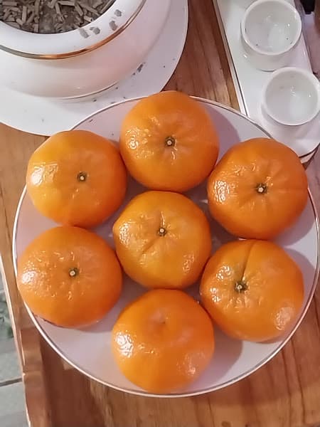 Hình ảnh Bách Hoá XANH Xuân Mỹ - 2