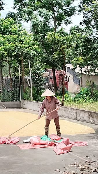 Ảnh bìa QUÁN-TÓC-DUY HUẾ