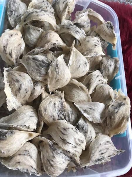 Ảnh bìa Yến sào Phượng Anh