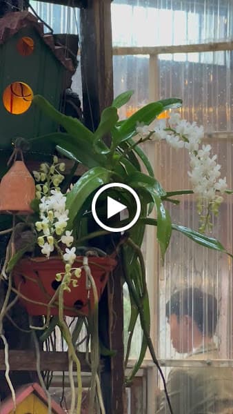 Hình ảnh Thanh Cafe - 2
