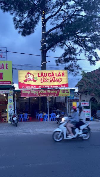 Lẩu Gà Lá é Gốc Thông