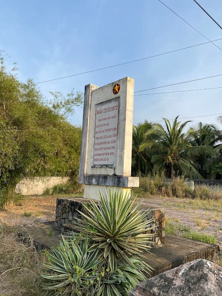 Hình ảnh Cây Tháp - 3