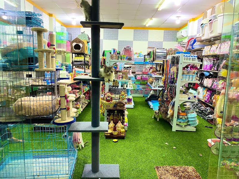 Hình ảnh The Pet Shop Tây Ninh - 3