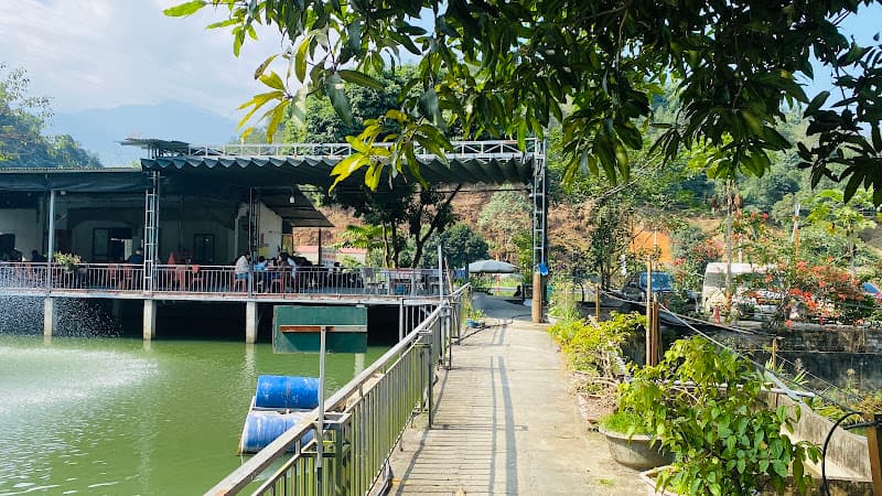 Hình ảnh Quán cơm cây khế - 5