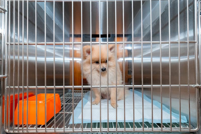 Hình ảnh Bệnh viện Thú Y thành phố Vinh - 2