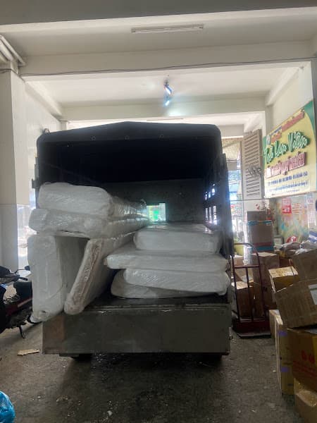 Hình ảnh Yuki Petshop - 6