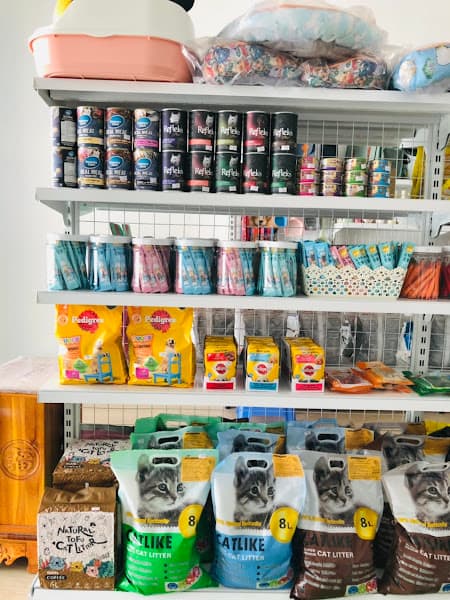 Hình ảnh CiCiPets - Tiệm làm đẹp thú cưng - 3