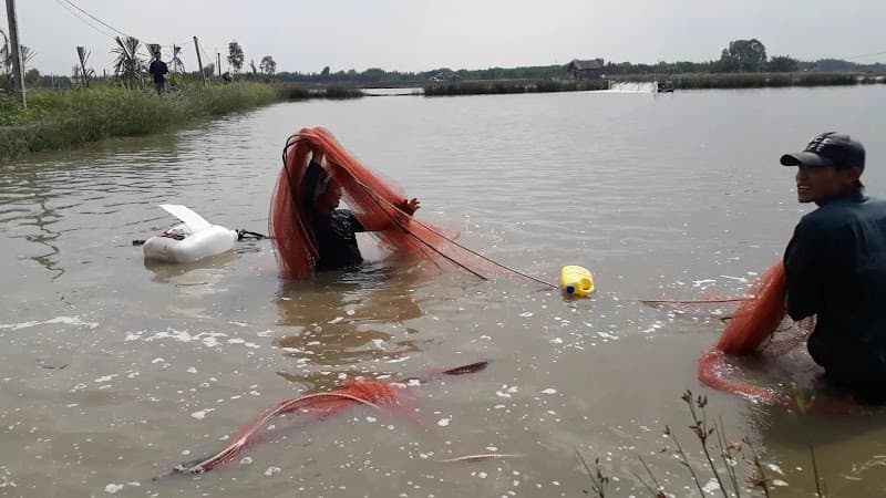 Hình ảnh Trang trại Yến Sào Phú Hưng Cần Giờ - Nhà yến số 2 - 4