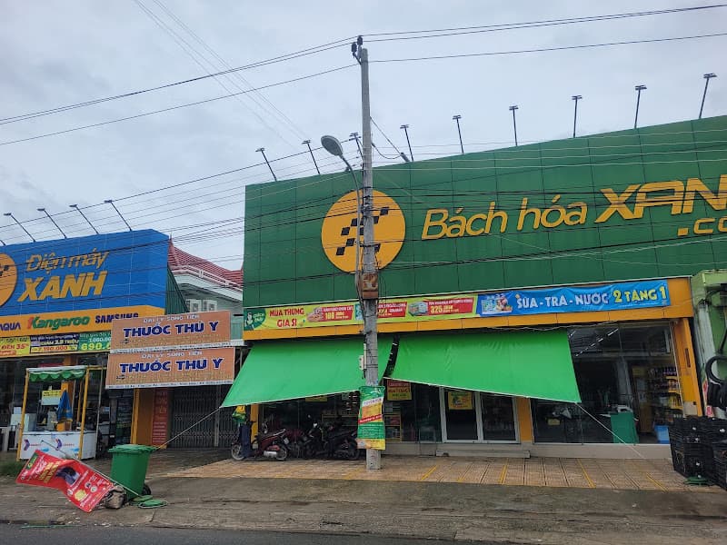 Hình ảnh Siêu thị Bách hoá XANH tại Thôn Lạc An - 7