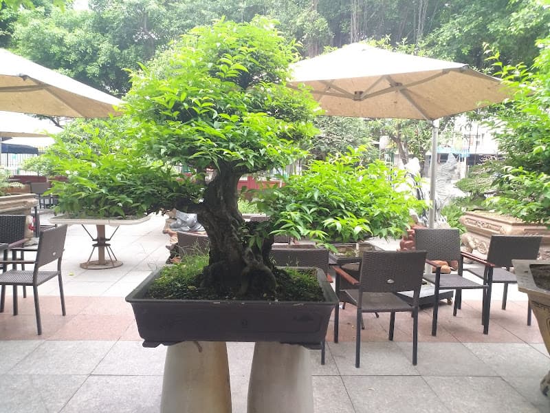 Hình ảnh Phú Thọ coffee - 2