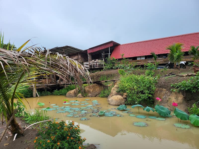 Hình ảnh Campingstar - 3