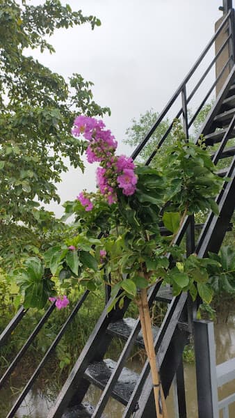 Hình ảnh High Coffee - 3