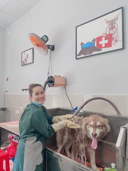 Hình ảnh Thú Y - CHĂM SÓC CHÓ - MÈO (TL PET) - 2