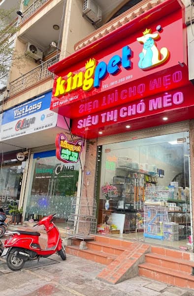 Hình ảnh King Pet Siêu Thị Chó Mèo - 4