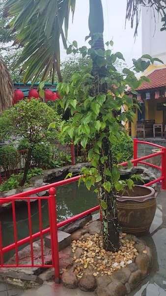 Hình ảnh Nhà hàng Đồng Xanh - 10