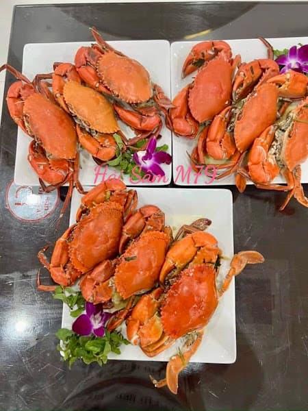 Hình ảnh Nhà Hàng Hải Sâm - 4