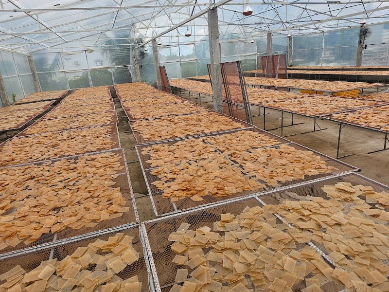 Hình ảnh Bánh Phồng Tôm Năm Căn - 4