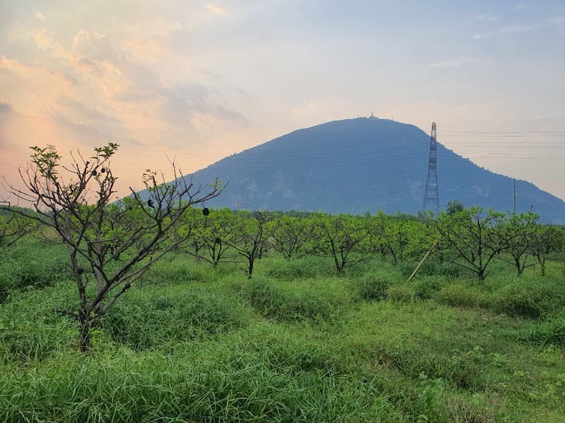 PHAN VILLAGE HOMESTAY