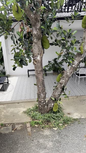 Hình ảnh An Garden Cafe - 7