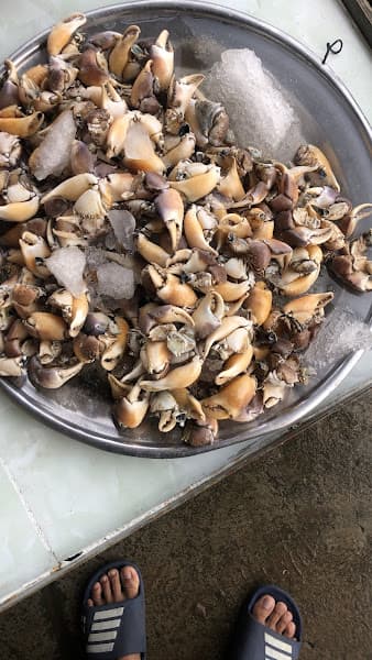 Hình ảnh Vựa Hải Sản Hoàng Linh - 4