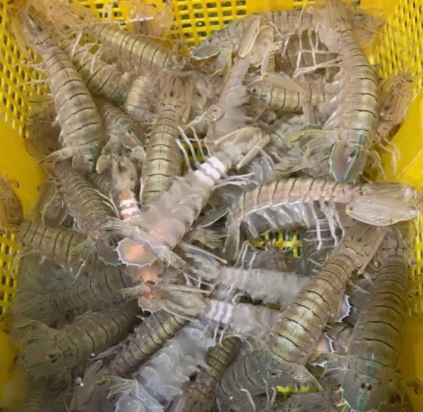 Hình ảnh Nhà Hàng Sao Biển - 2