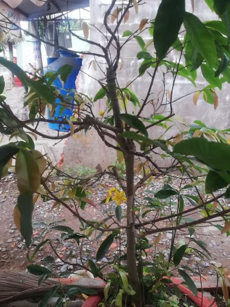 Hình ảnh Miến lươn 371 - 3